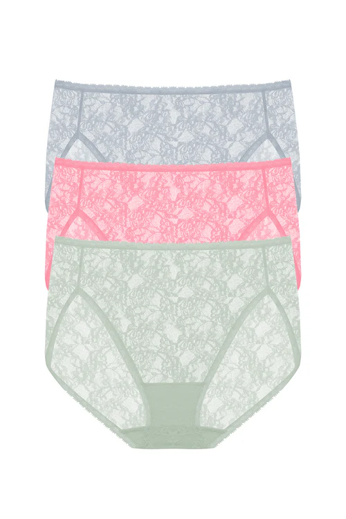 Bliss Allure One-Size Lace French Cut Brief 3-Pack