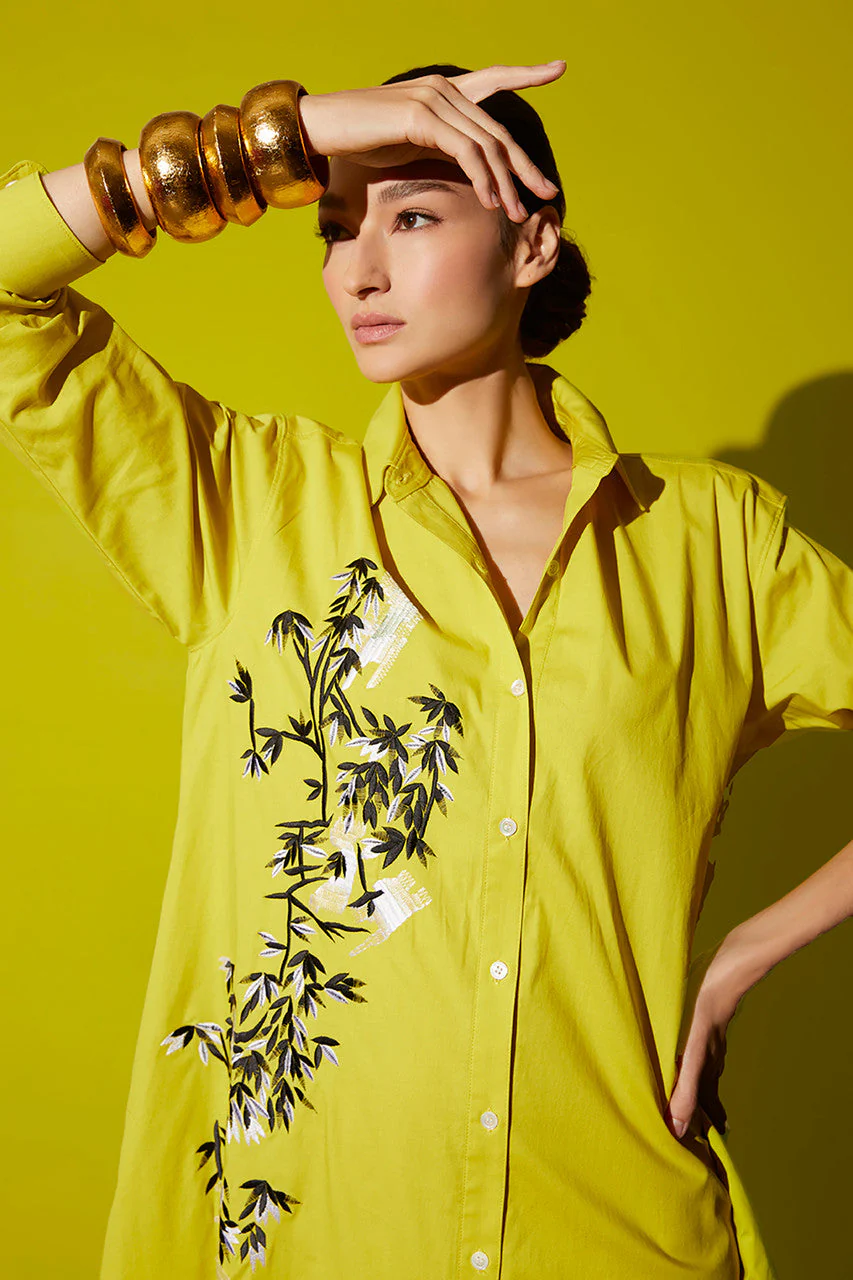 Cotton Poplin Applique Oversized Shirtdress - Image 2