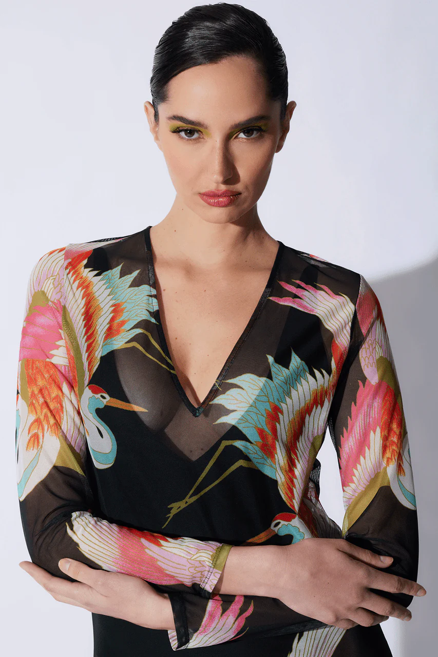 Crane Mesh Long Sleeve Sheer Dress - Image 4