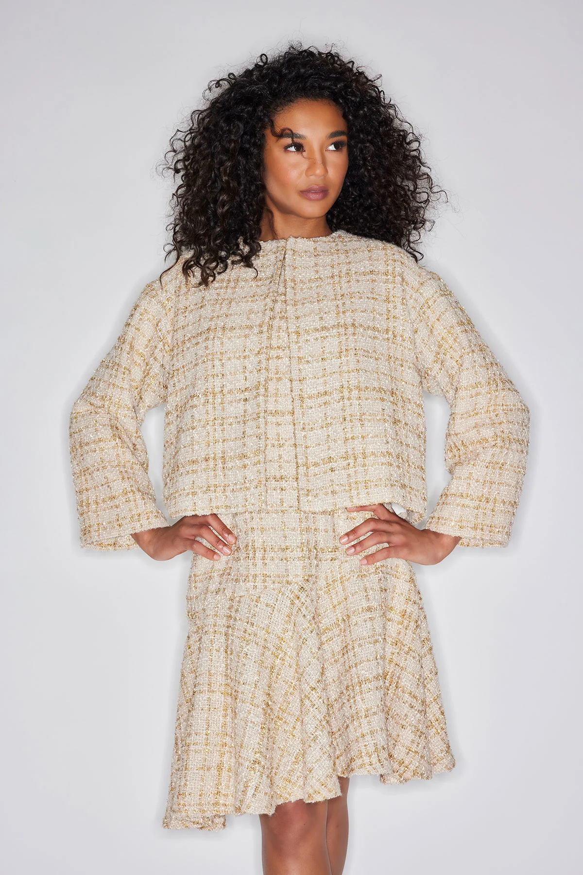 Sparkle Tweed Cropped Jacket - Image 4